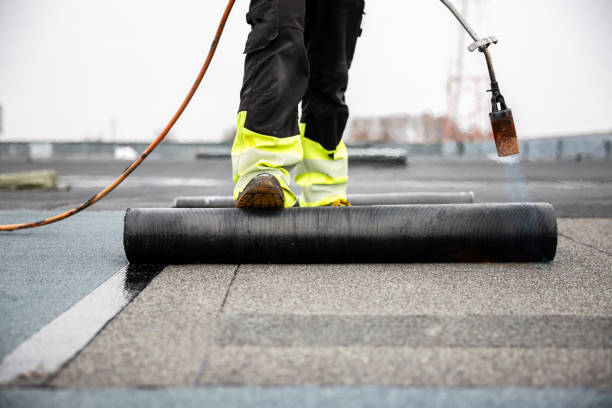 Trusted Timber Pines, FL Roofing Service Experts